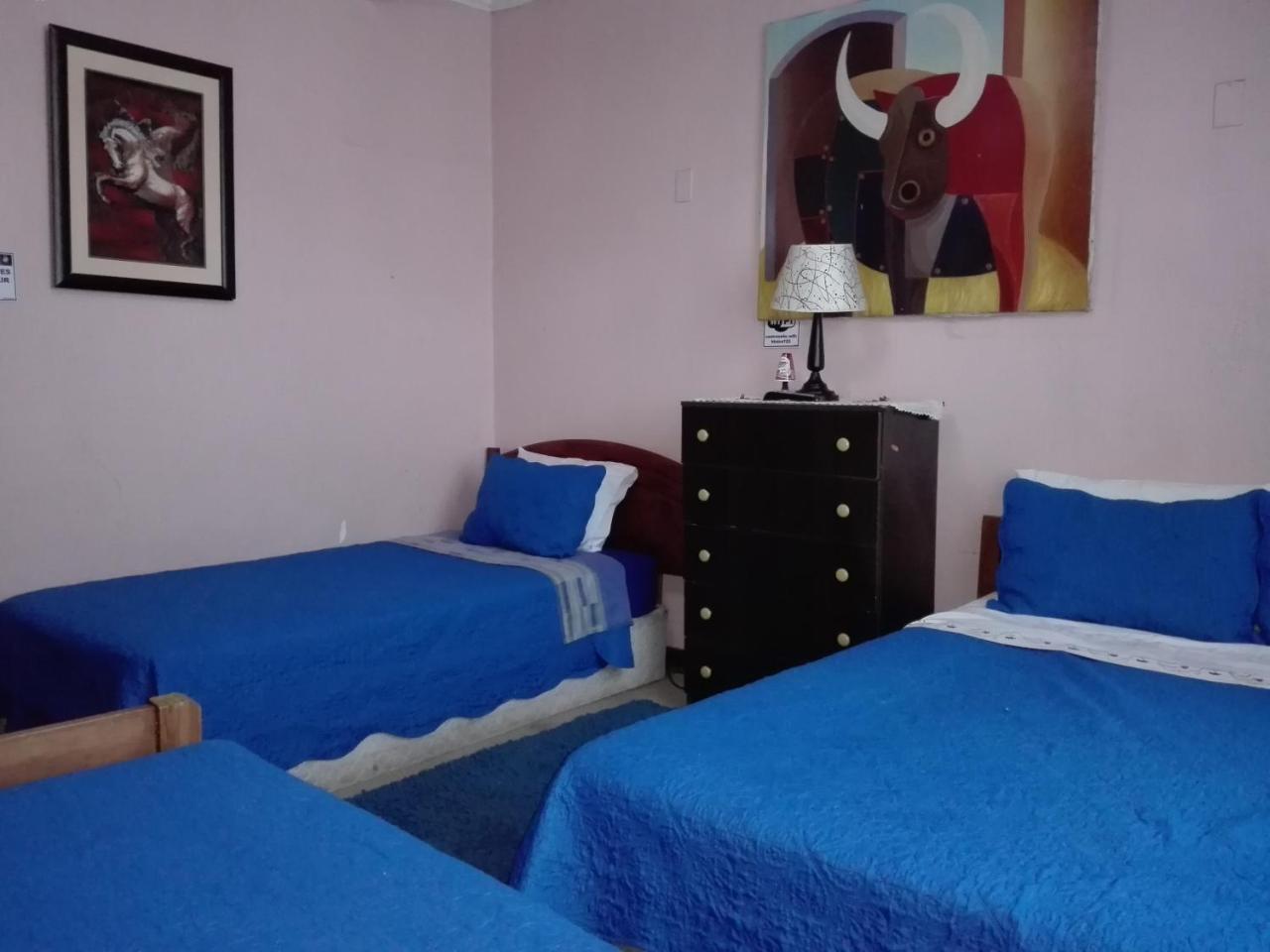 Hotel De Talca Талька Екстер'єр фото